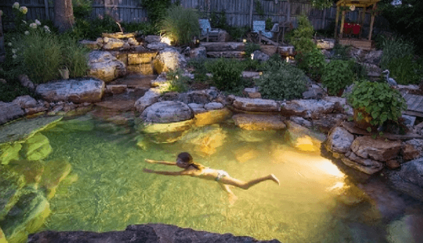 Pond
