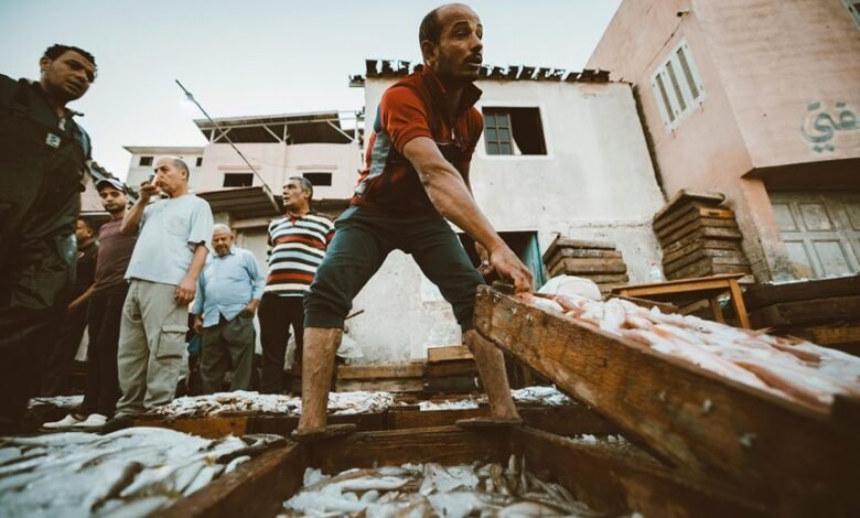 market engagement contact numbers