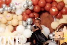 project milestone identification numbers