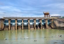 digital retention loyalty program