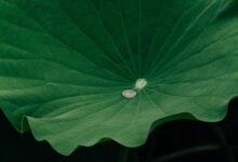 engagement and retention strategy