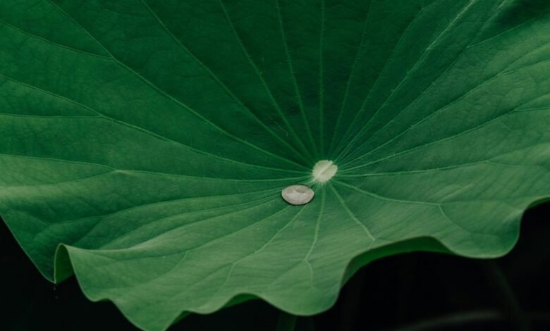 engagement and retention strategy