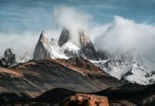 roi conversion success strategy