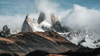 roi optimization strategy path