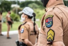 search for rankings authority