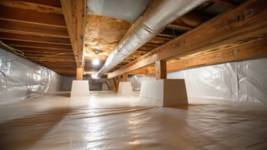 Revamping Your Damp Basement: The Ultimate Home Office Solution