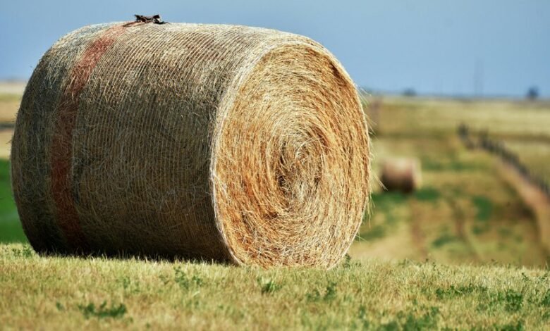 radiant loop expansion node